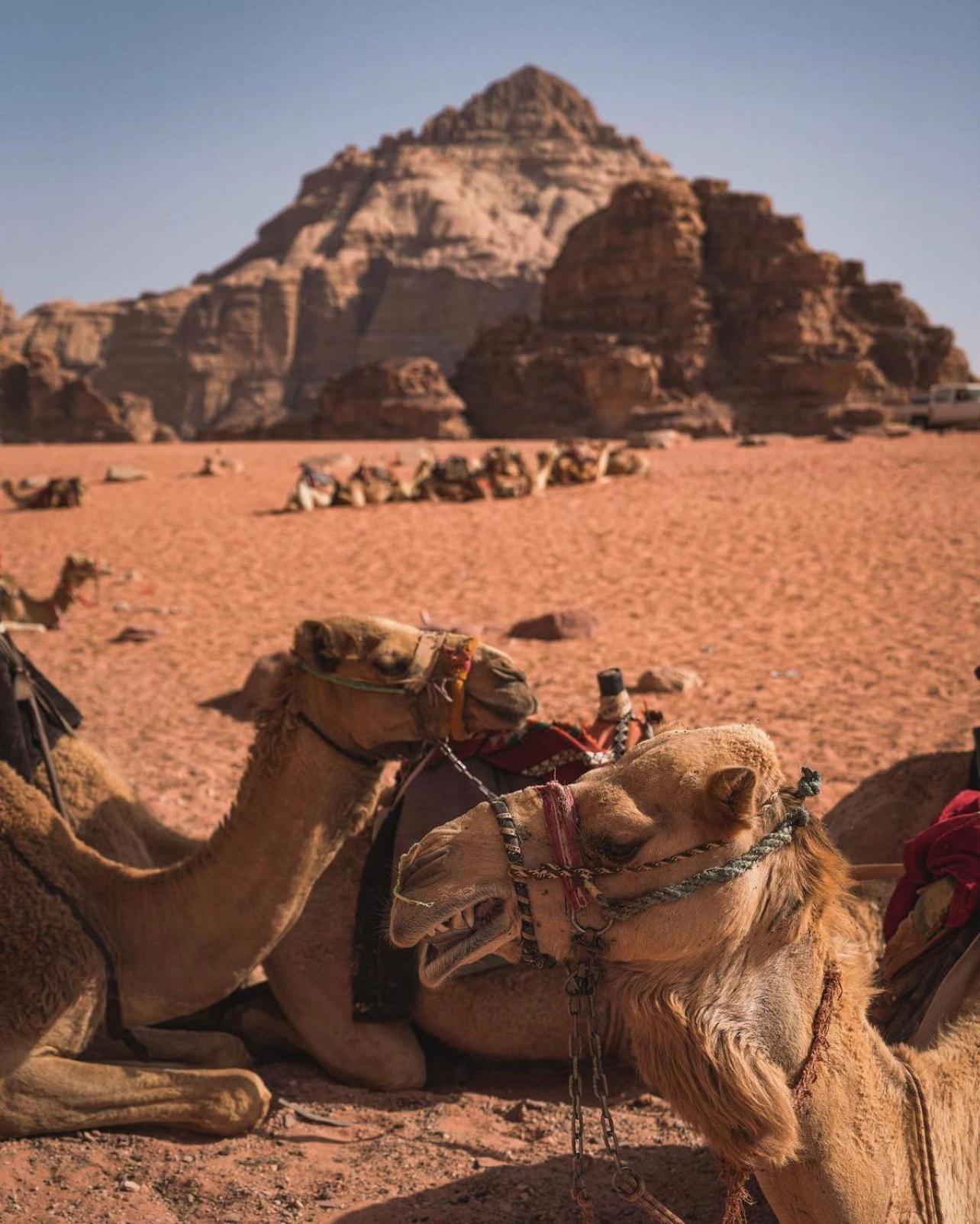 Rum Magic Luxury Camp Wadi Rum Exterior foto