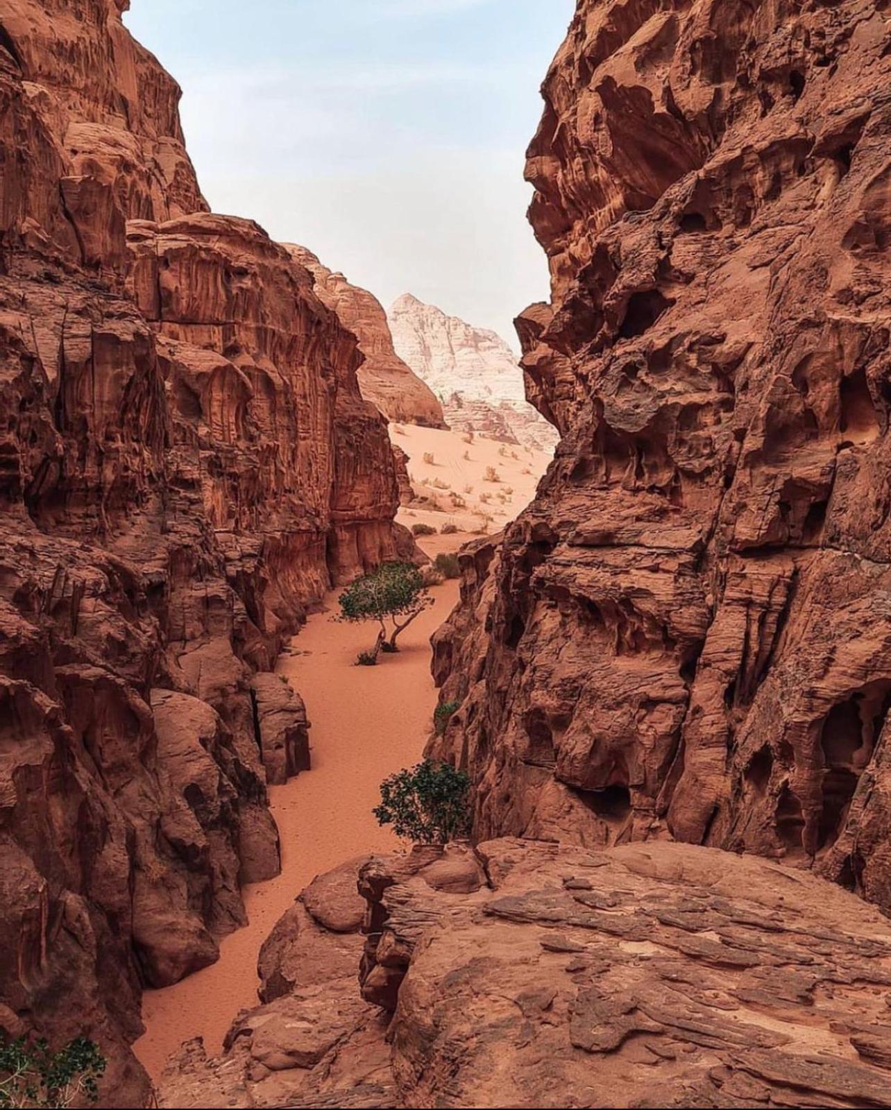 Rum Magic Luxury Camp Wadi Rum Exterior foto